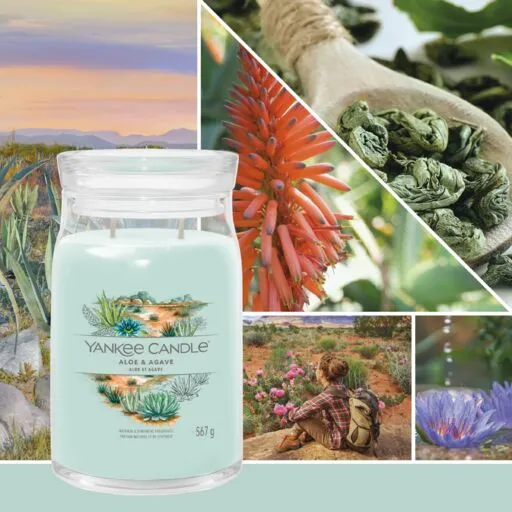 Yankee Candle Signature - Giara grande Aloe & Agave