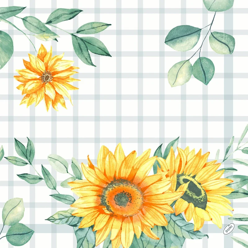 Semi di girasole classici, 40x40 cm | Confezione (50 pezzi)