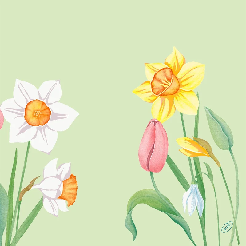 Tovaglioli 40x40 cm 4 strati Classico Spring Melody | Confezione (50 pezzi)