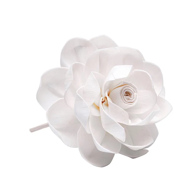 Rosa Naturale per le essenze di Hypno Casa con bastoncino - 10 cm