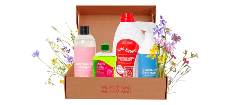 BOX - PULIZIE DI PRIMAVERA