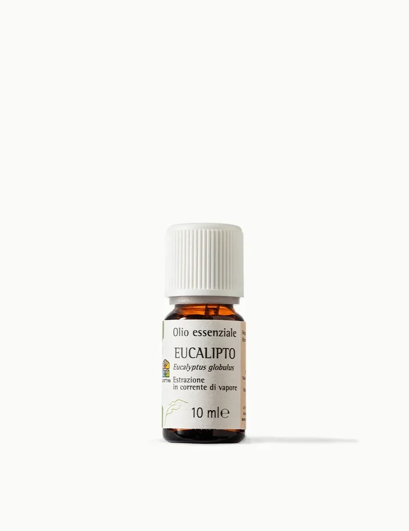 Olio Essenziale di Eucalipto