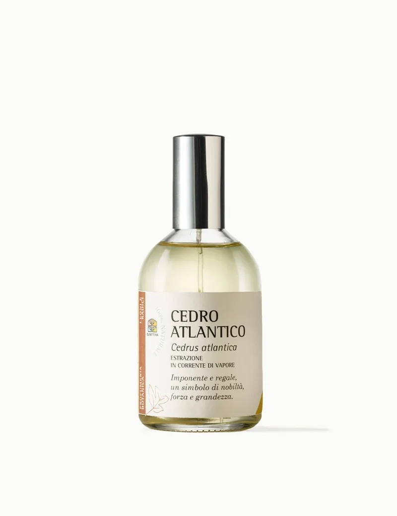 Cedro Atlantico