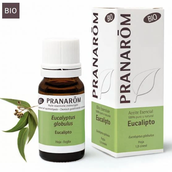 Eucalipto globulus olio essenziale bio PRANAROM