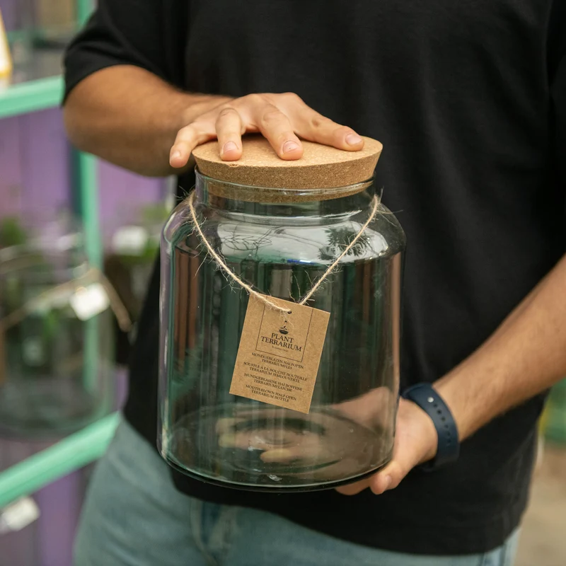 Piante in vaso chiuso