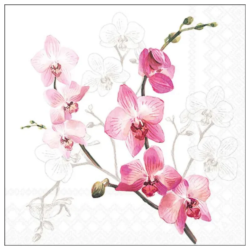Tovagliolo fantasia 33 x 33 cm Orchidee ramo 3 veli