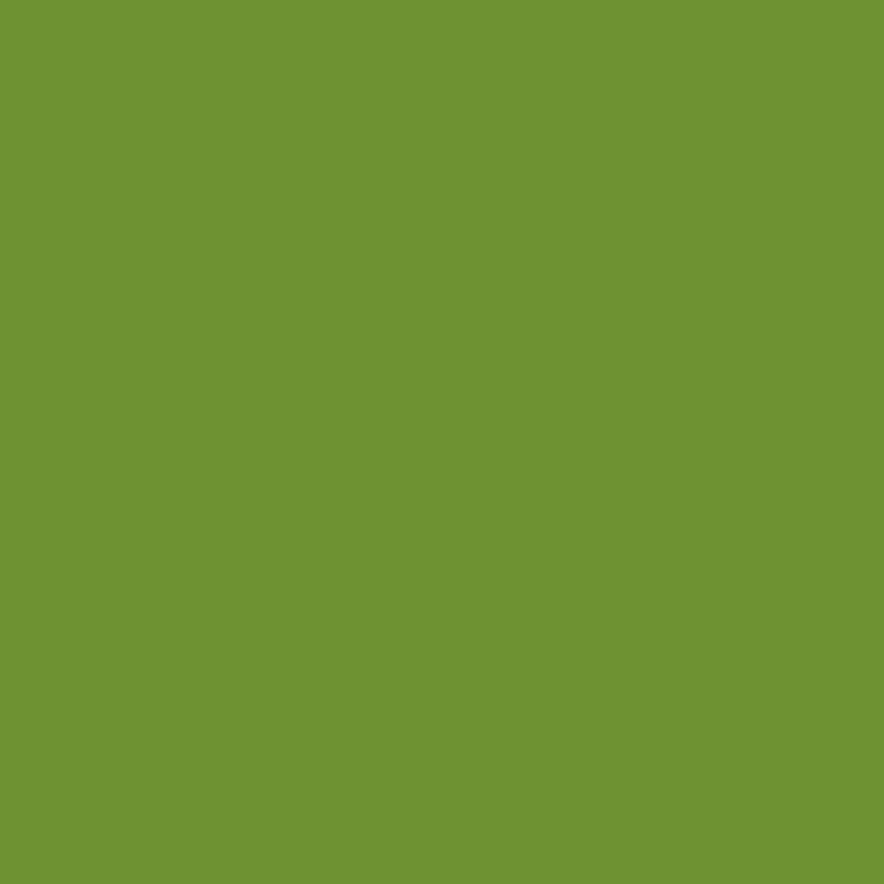 Tovagliolo cellulosa Bio 33 x 33 cm Verde Foglia 3 veli