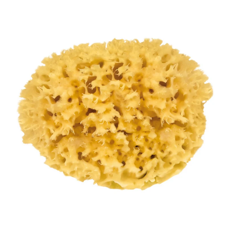 Spugna Naturale di Mare 16cm - Morbida per Corpo e Viso