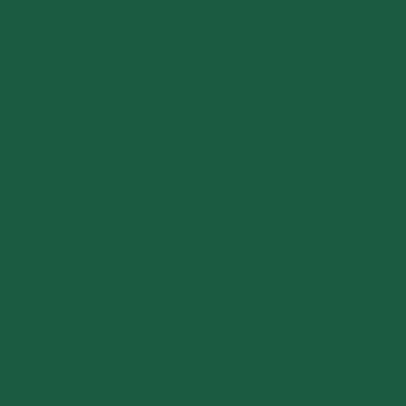 Tovagliolo cellulosa Bio 24 x 24 cm Verde scuro 3 veli