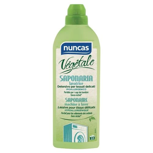 Vegetale Saponaria Lavatrice